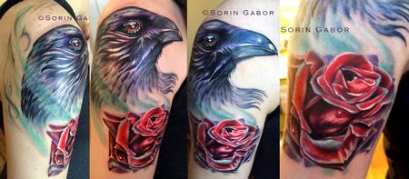 Sorin Gabor - Realistc color raven and rose tattoo on shoulder